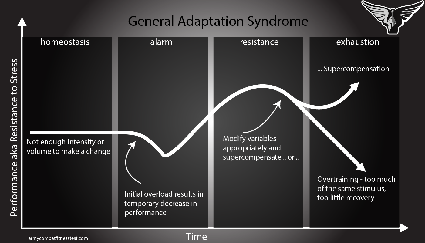 A Leader’s Guide to Training for the ACFT: Part 1