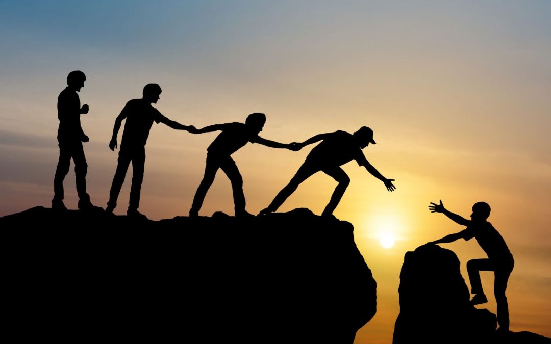 Forging Trust in Time for the Next Crisis