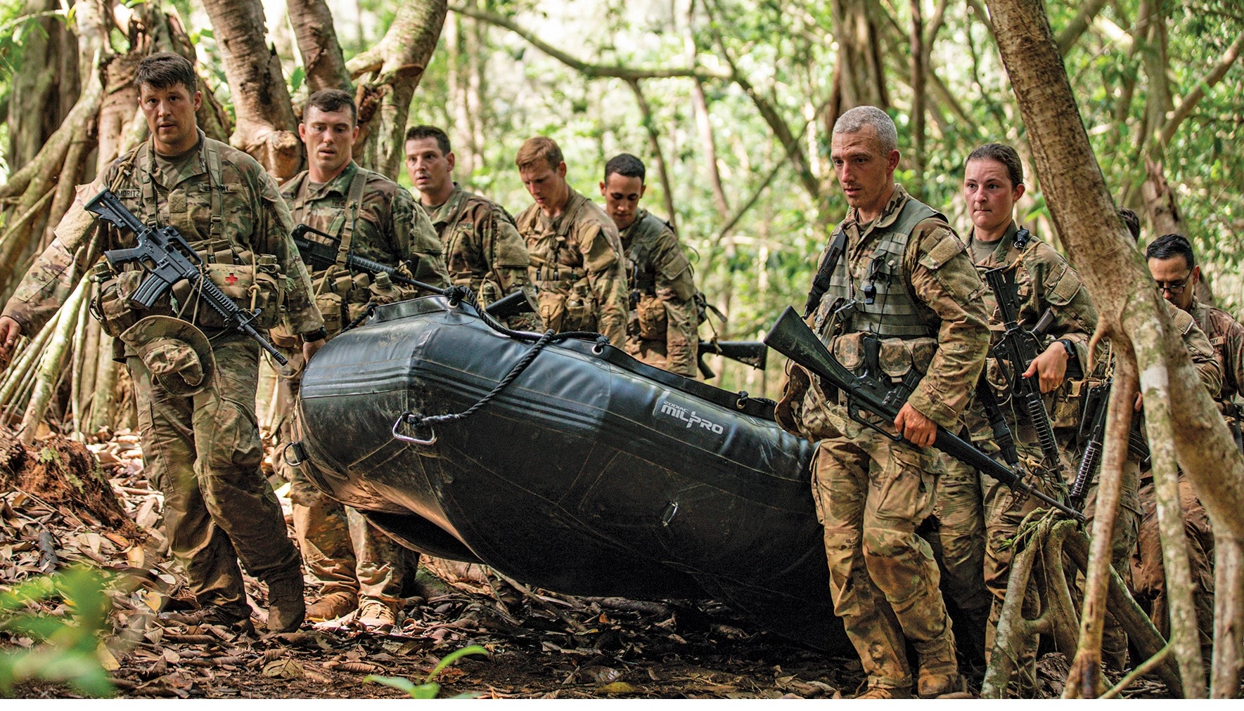Building Cohesive and Effective Teams